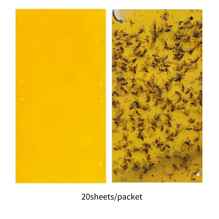 Yellow Insect Sticky Traps best